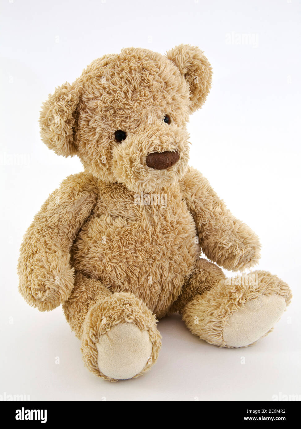 Ours en peluche, peluche Banque D'Images