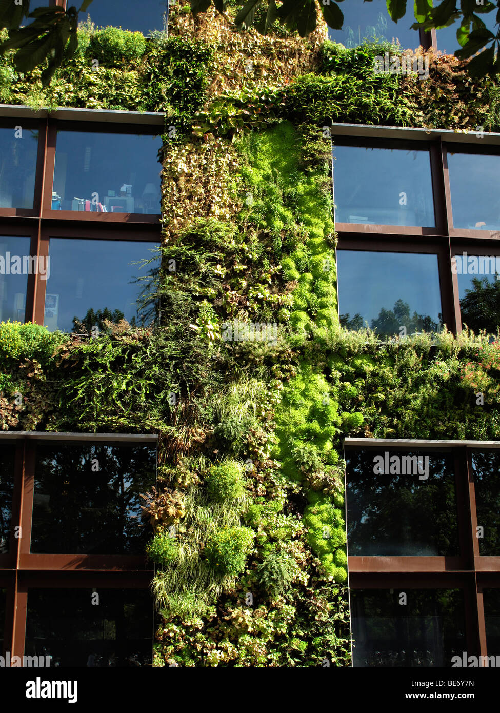 Le jardin vertical de Patrick Blanc,Musée du quai Branly, Paris, France Banque D'Images