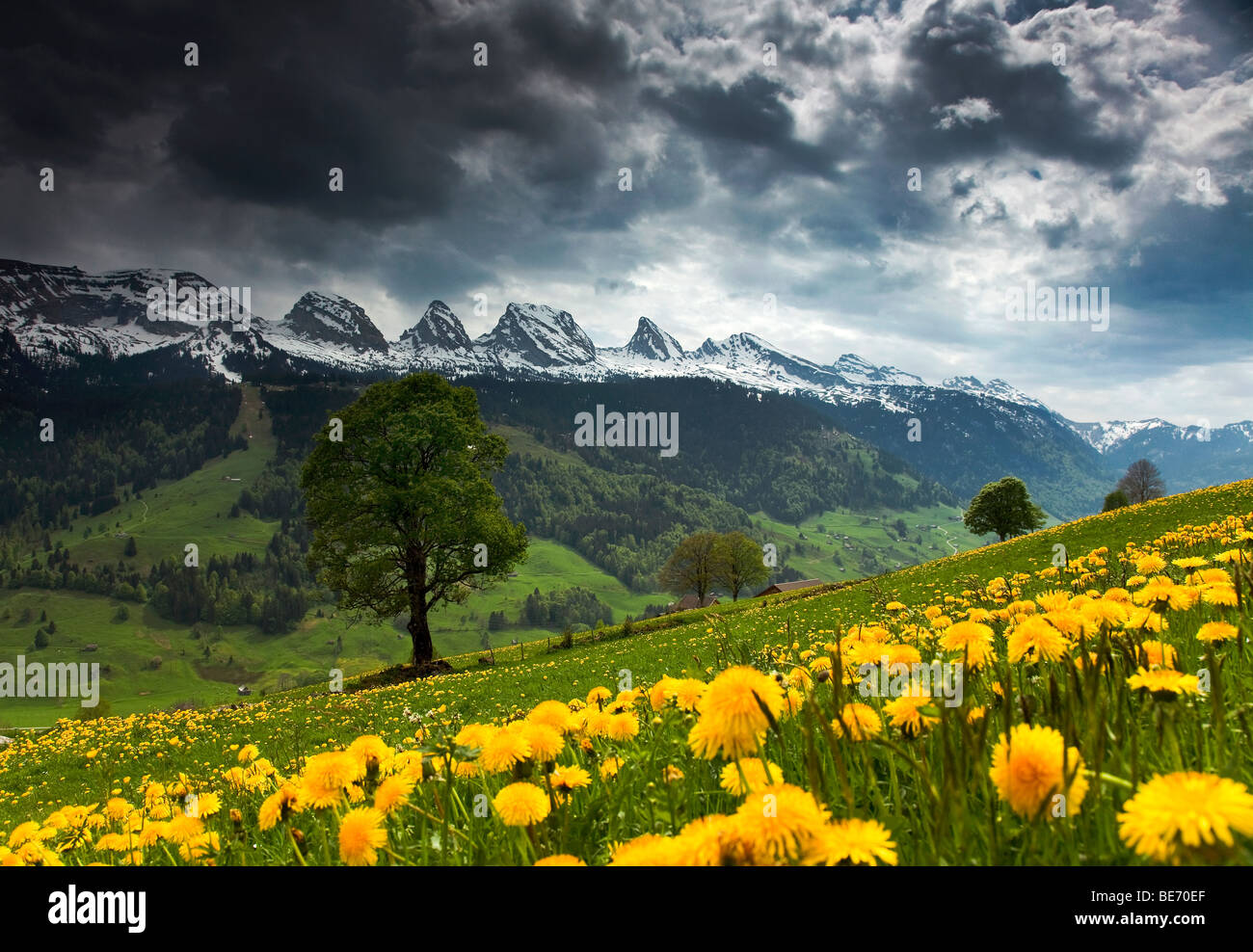 Vue sur la chaîne de montagnes Churfirsten, Suisse, Europe Banque D'Images