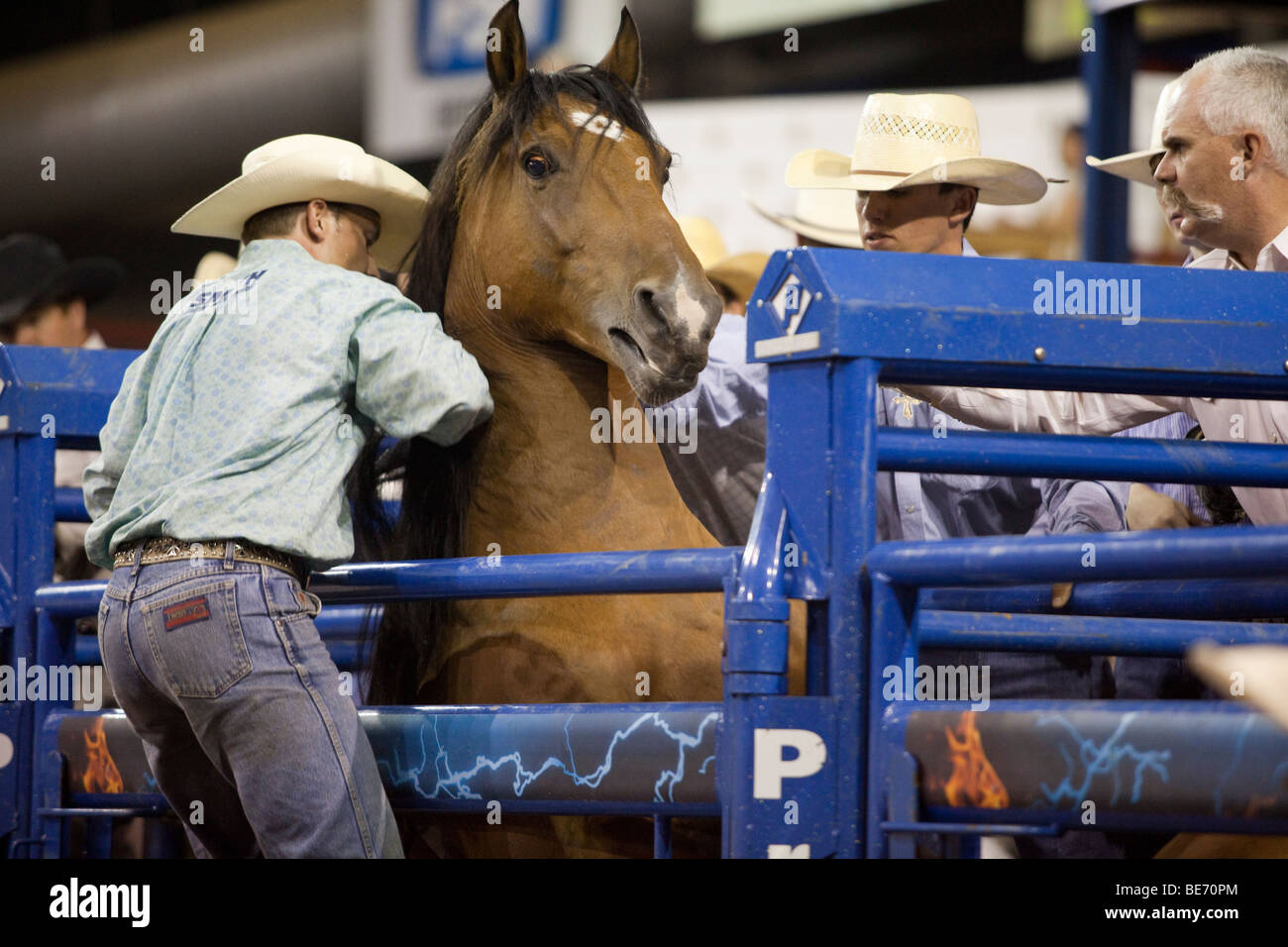 Un cheval dans le bucking tirer sur le rodéo Mesquite Championship, Mesquite, Texas, États-Unis Banque D'Images