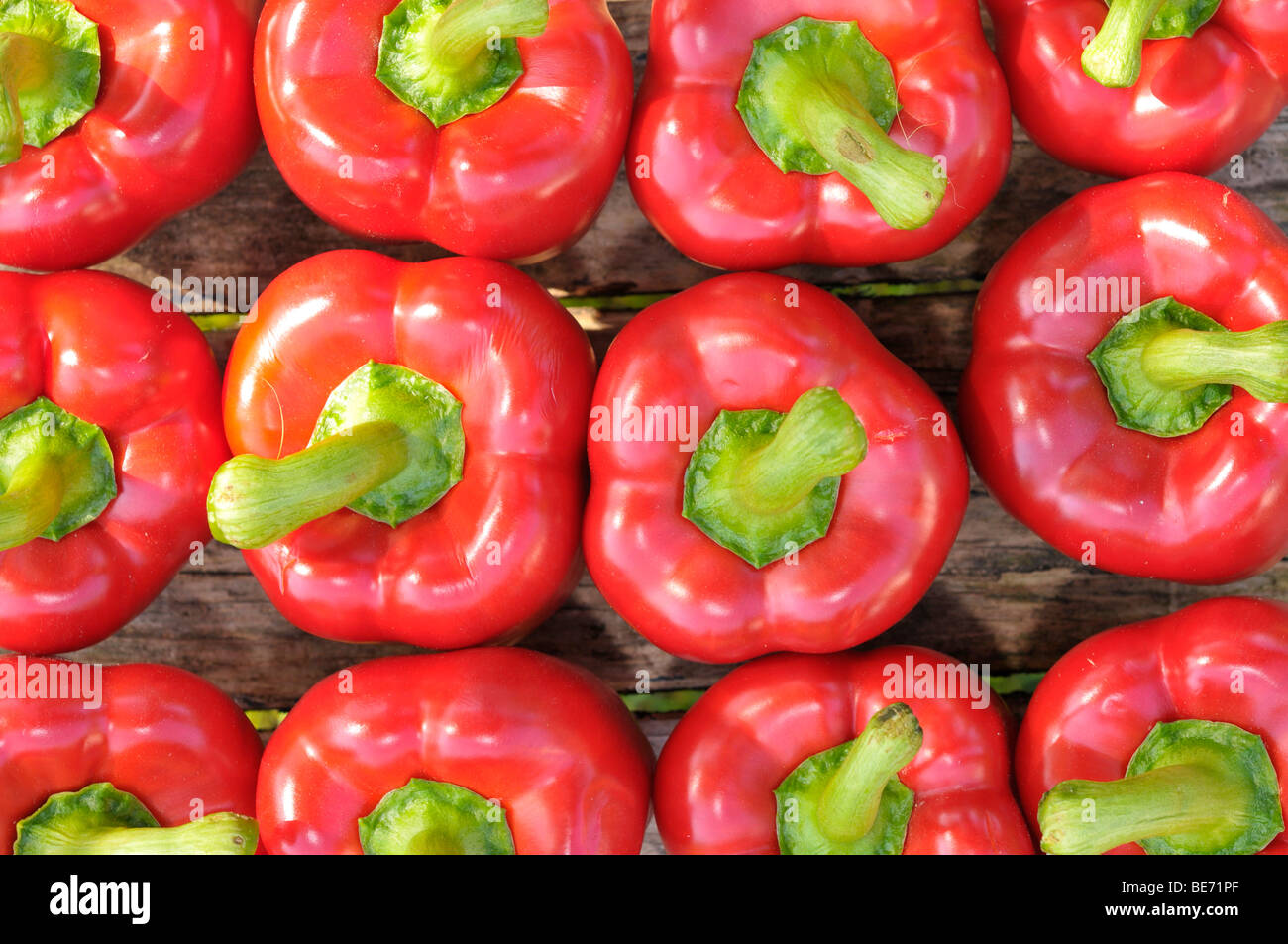 Poivrons rouges (Capsicum) Banque D'Images