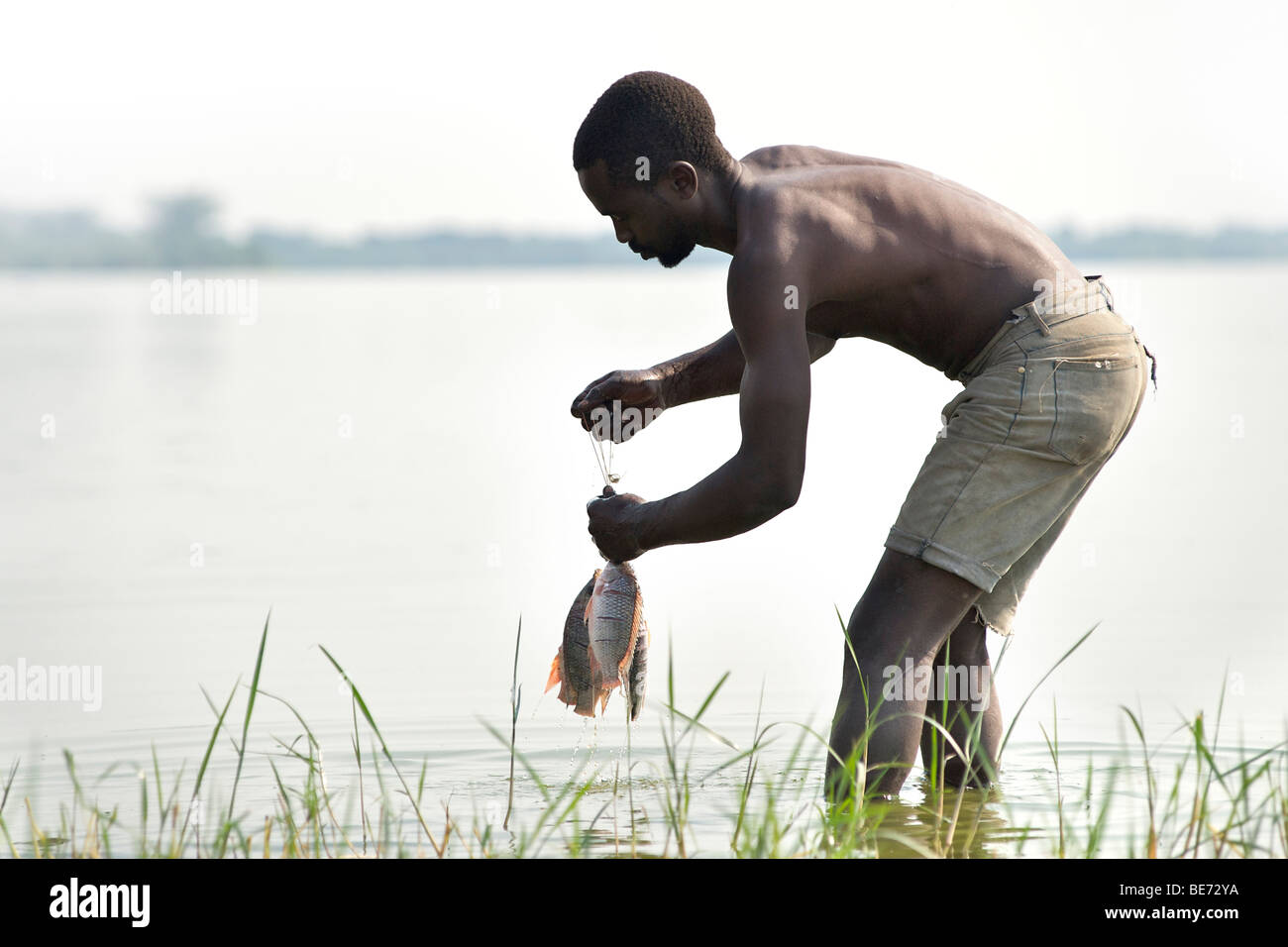 L'homme de l'Ouganda avec le poisson Tilapia à Kasenyi village sur les rives du lac George, dans l'ouest de l'Ouganda. Banque D'Images