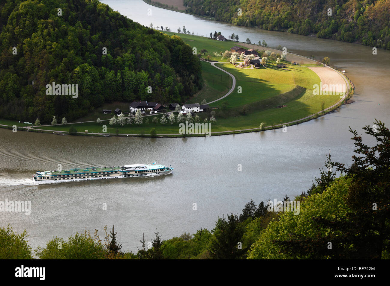 Navire de passagers sur le Danube, Schloegener Schloegen, boucle, Haute Autriche, Autriche, Europe Banque D'Images