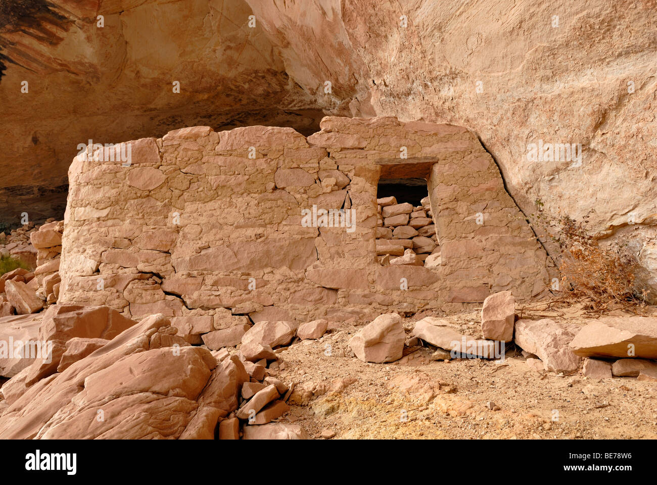 Vestiges historiques d'une habitation des Indiens Anasazi, environ 900 ans, Cold Springs grotte près de Bluff, Utah, USA Banque D'Images