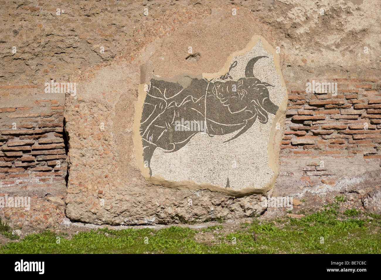 Sol de mosaïque carrelage à Caracalla thermes antiques de Rome, Italie Banque D'Images