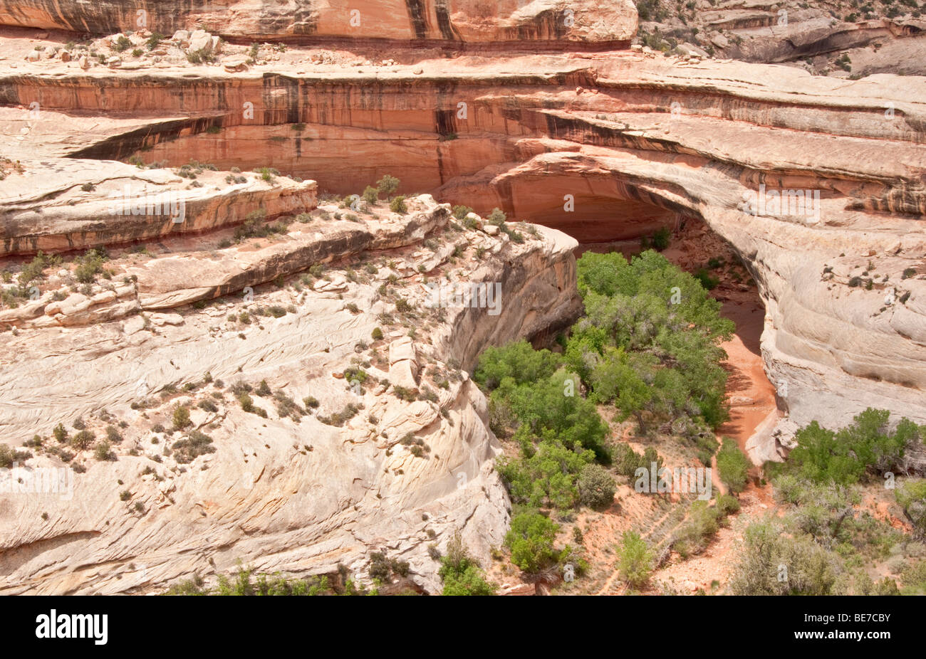 Utah Natural Bridges National Monument Kachina Bridge Banque D'Images