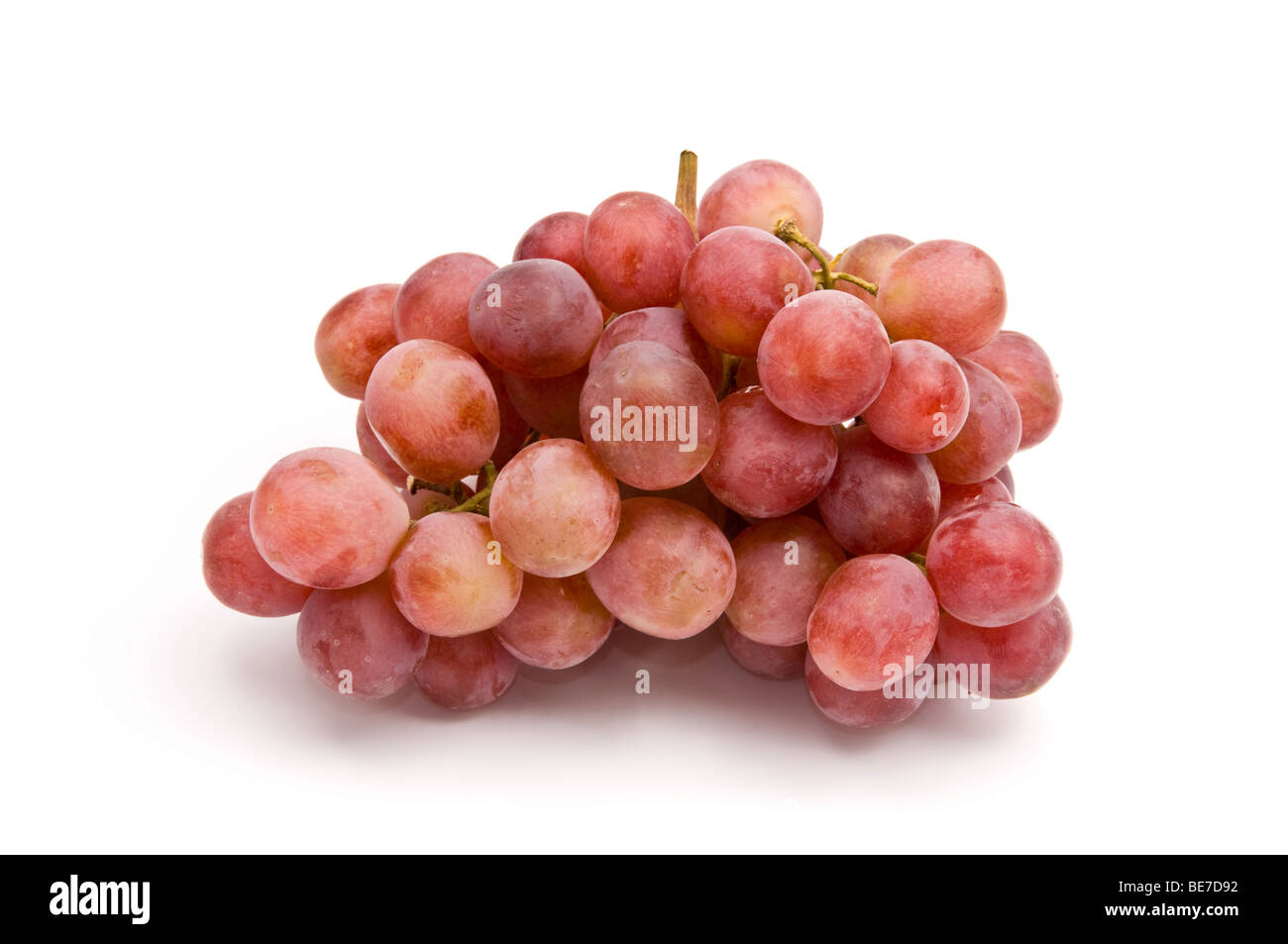 Grappe de raisin rose sur fond blanc Banque D'Images