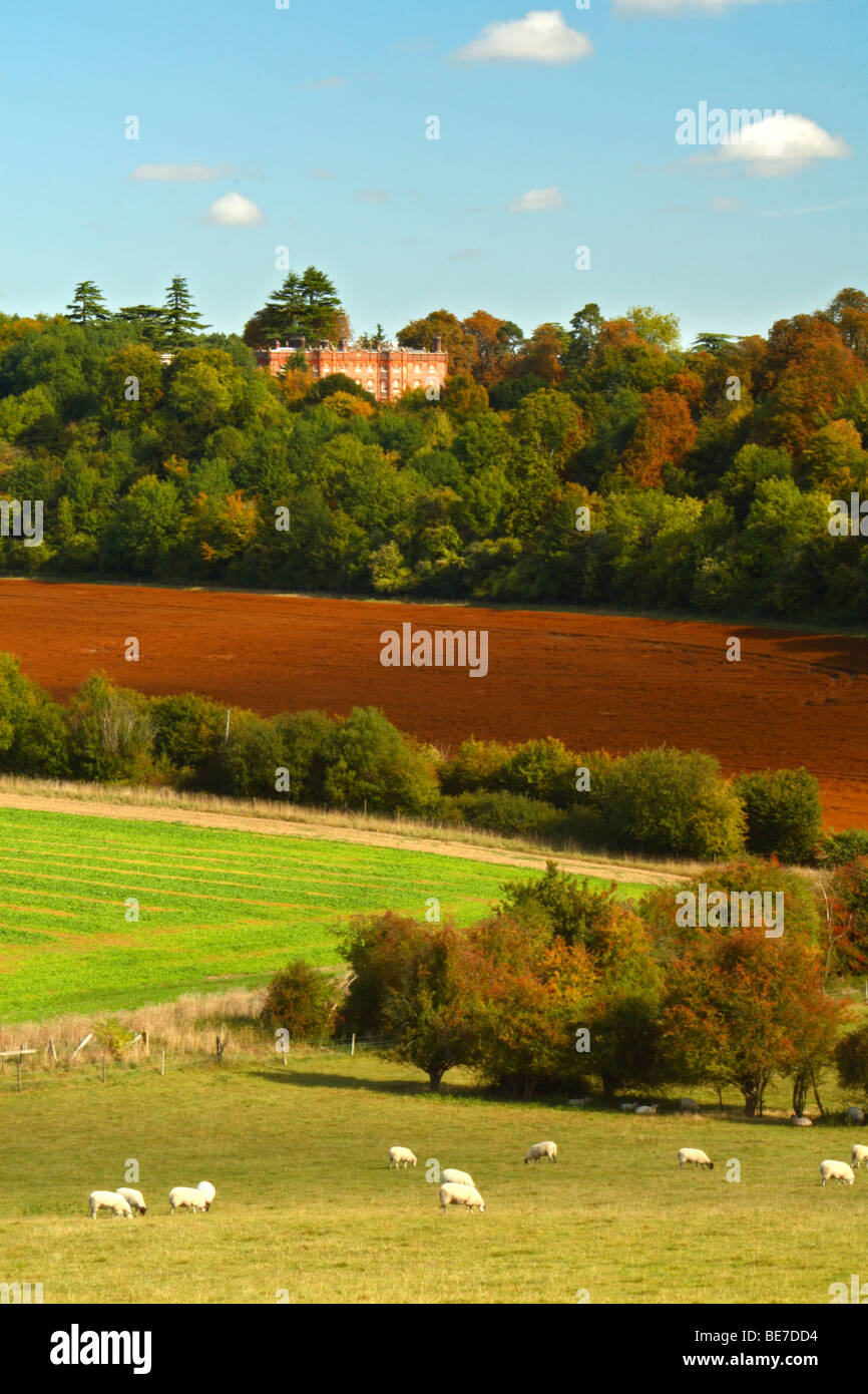 Vue sur les champs dans la vallée Hughenden Manor à Hughenden, High Wycombe, Buckinghamshire, Royaume-Uni Banque D'Images