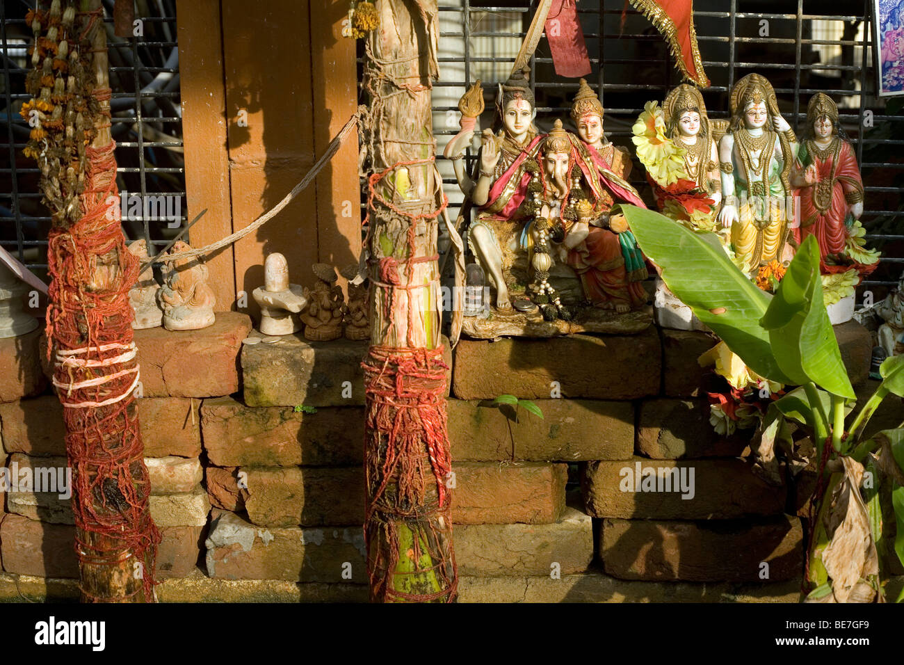 Les idoles et de guirlandes autour d'un bananier de culte dans un temple hindou Janakpuri, New Delhi, Inde Banque D'Images