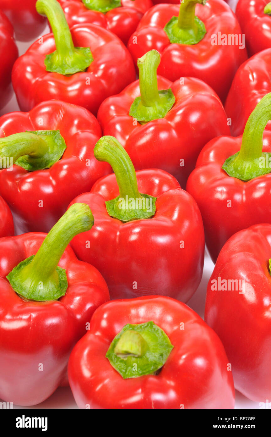 Poivrons rouges (Capsicum) Banque D'Images