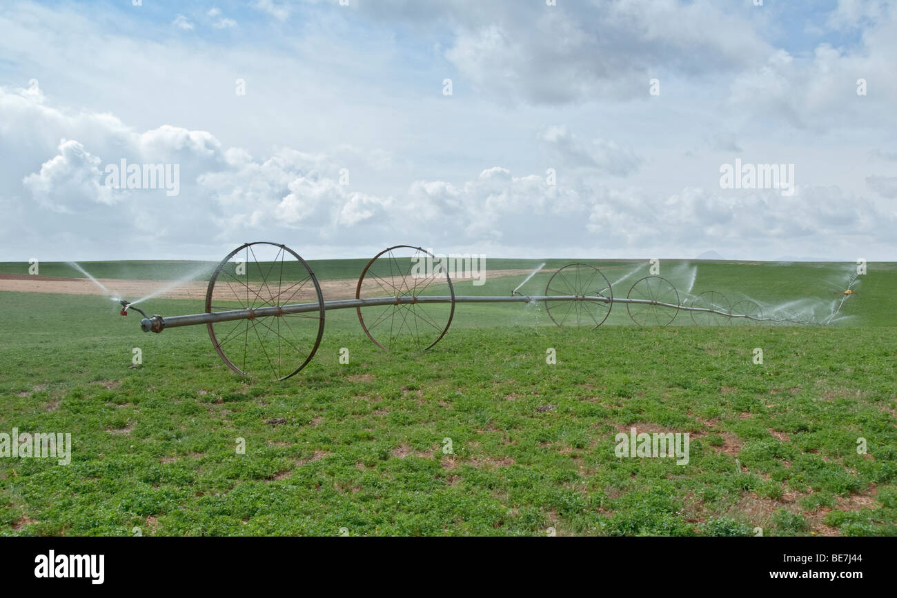 Colorado champ agricole irrigation automatique auto-moteur réseau sprinkleur Banque D'Images