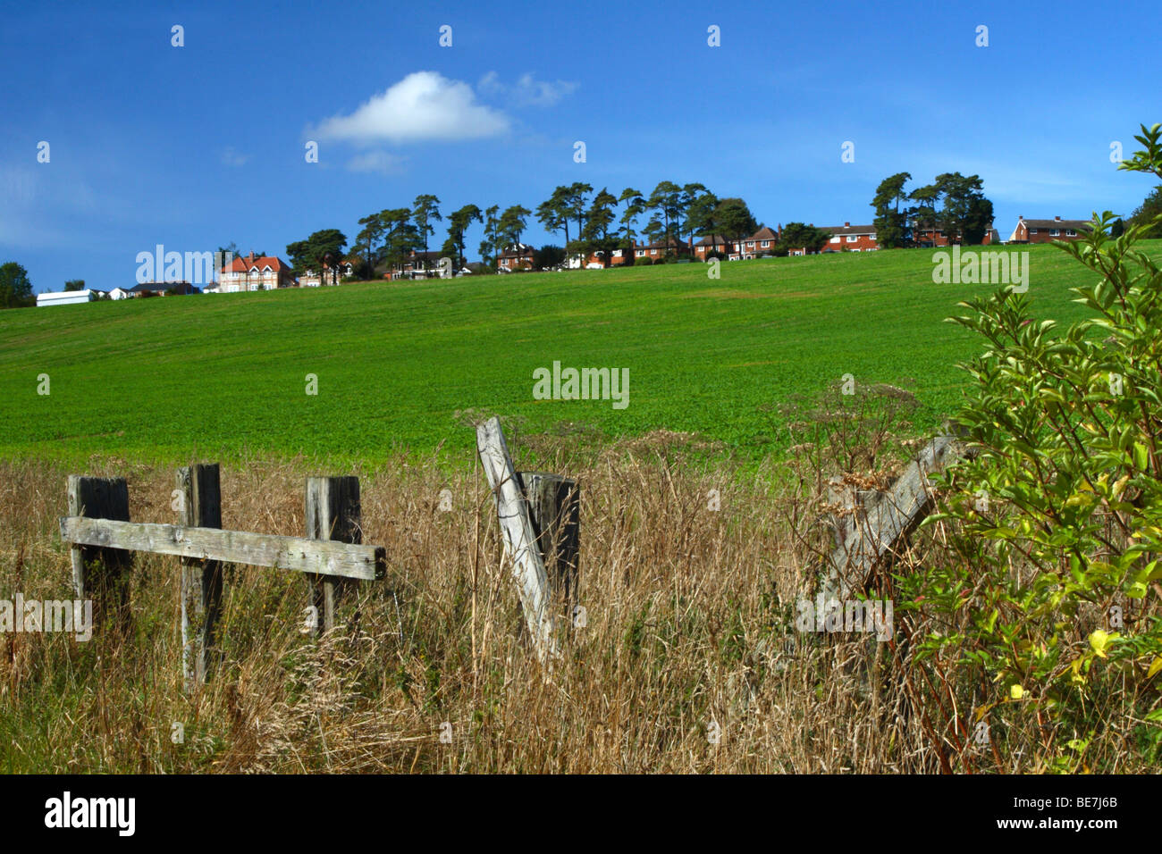 Vue sur un champ vers une rangée de maisons de Downley, High Wycombe, Buckinghamshire, Royaume-Uni Banque D'Images
