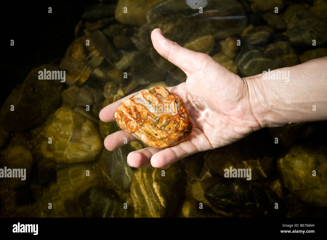 La découverte d'une agate dans le lit de la rivière Allier (France). Découverte d'une agate dans le lit de la rivière Allier. Banque D'Images