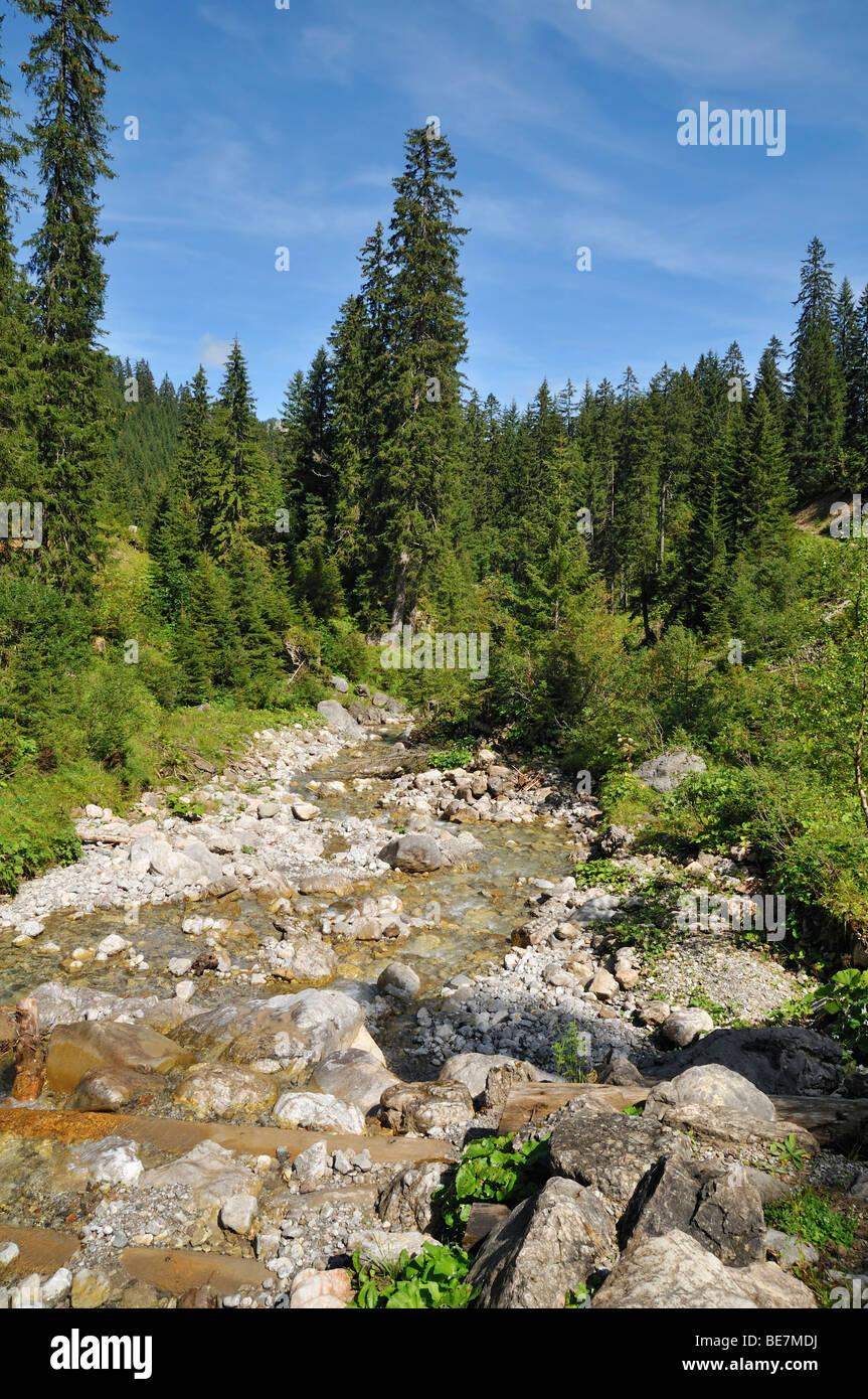 Baerguntbach Baergunttal, flux, la vallée de Kleinwalsertal, peu Vallée Walser, Vorarlberg, Autriche, Alpes Allgaeu Banque D'Images