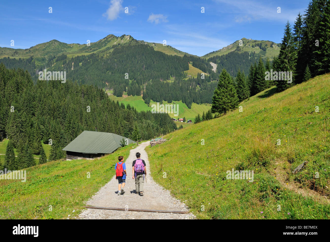 Randonnee Sur Le Sentier Panoramique Dans La Vallee De Kleinwalsertal Baergunttal Peu Vallee Walser Vorarlberg Autriche Alpes Allgaeu Photo Stock Alamy