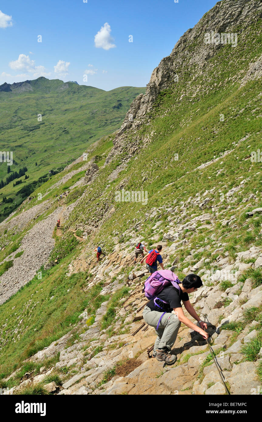 Trail sécurisé par des cordes et de struts Hoher Ifen Mountain, Vorarlberg, Autriche, Alpes Allgaeu, Europe Banque D'Images