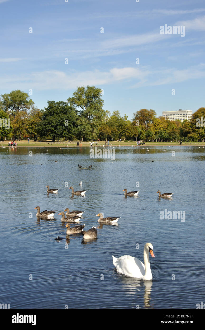 The long Water, Kensington Gardens, Kensington, London Borough of Kensington and Chelsea, Greater London, Angleterre, Royaume-Uni Banque D'Images