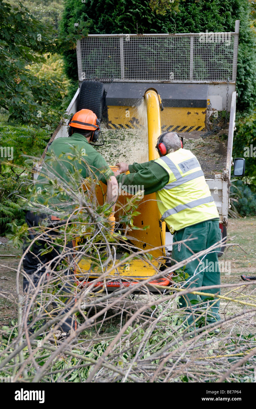 2 Deux hommes arbres déchiquetage Banque D'Images