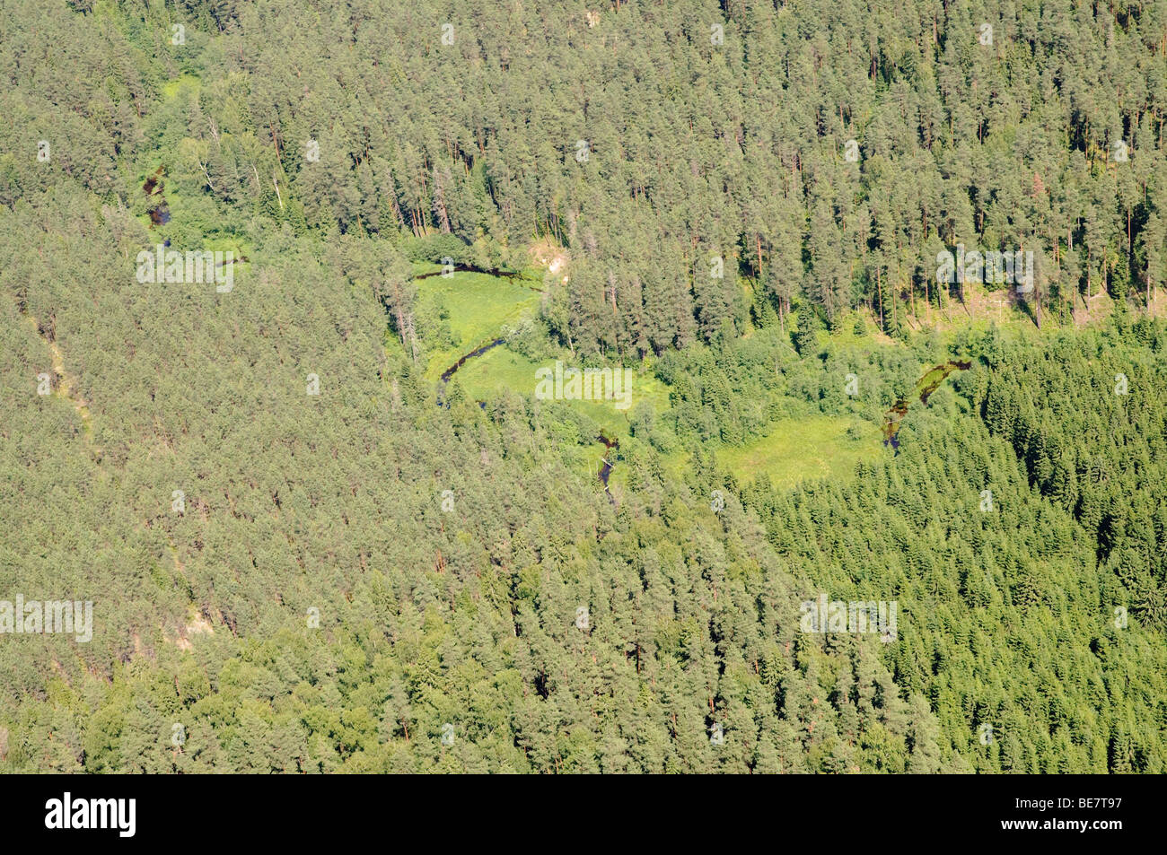 Vue aérienne de la petite rivière serpentant à travers grand massif forestier dans le centre de Vidzeme, Lettonie Banque D'Images