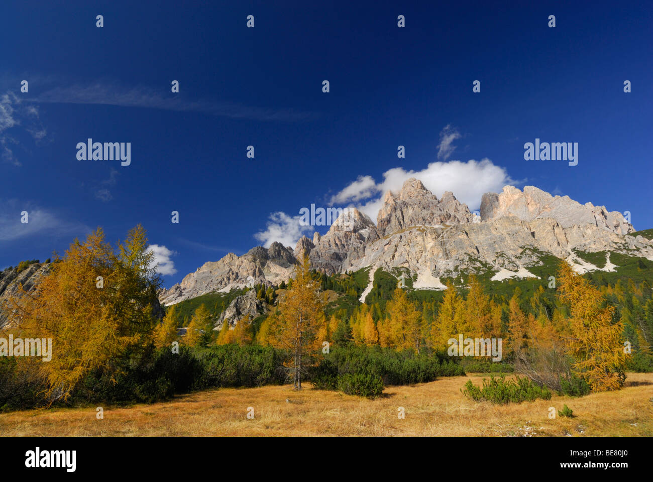 Cristallo plage ci-dessus des mélèzes en couleurs de l'automne, Dolomites, Tyrol du Sud, Italie Banque D'Images