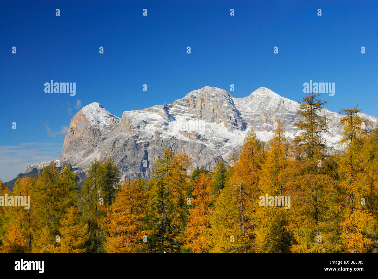 Gamme Tofana avec des mélèzes en couleurs de l'automne, Dolomites, Tyrol du Sud, Italie Banque D'Images