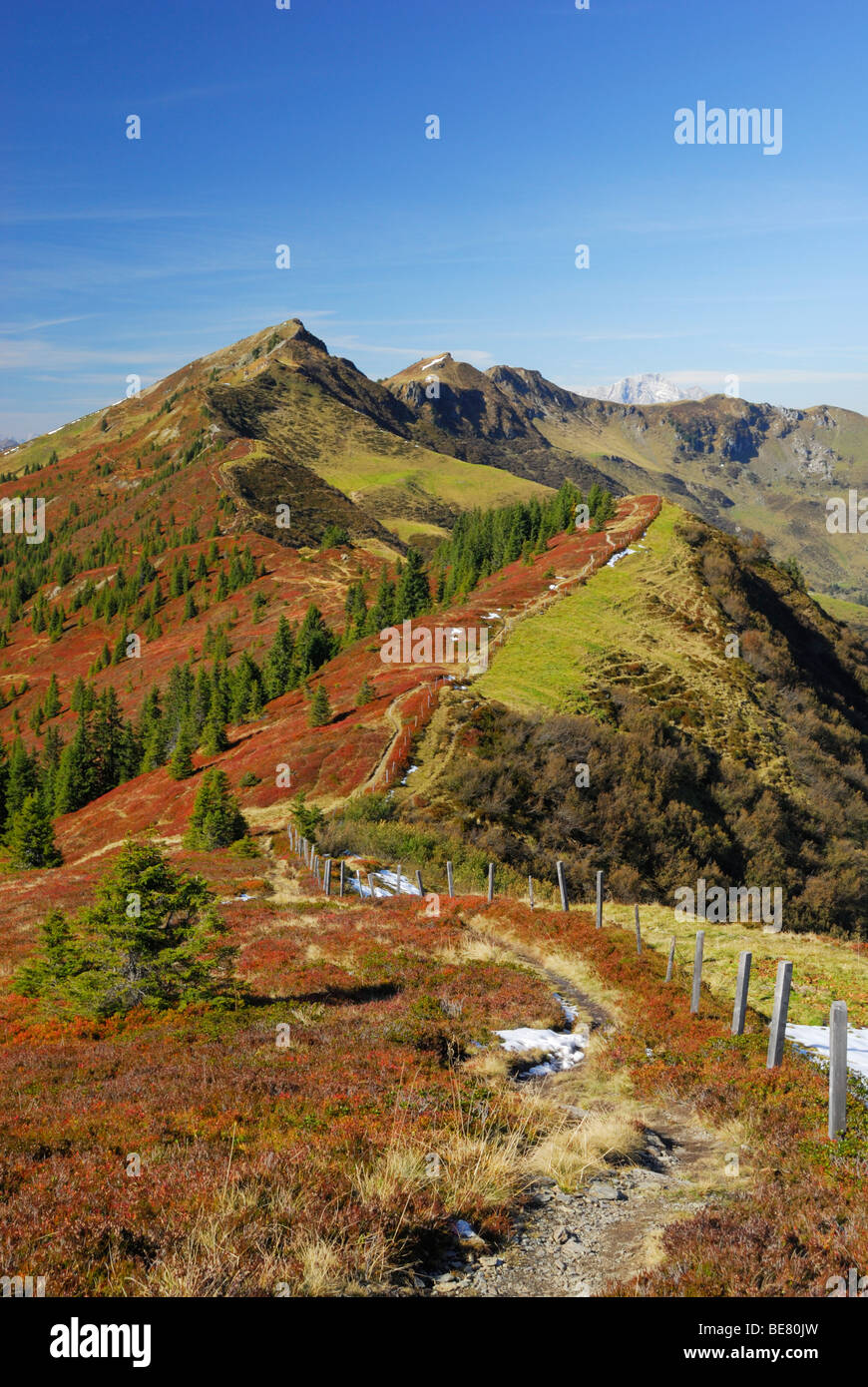 Sentier à partir de Schwalbenwand Hundstein aux couleurs de l'automne de Huckleberry, Schieferberge Dientner Dientner Schieferalpen, gamme, Banque D'Images