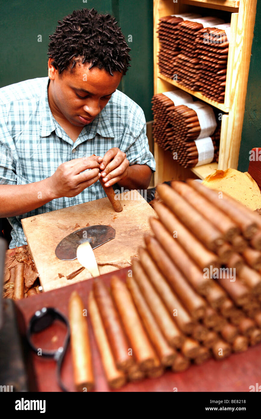 Un homme rouler des cigares, Calle Ocho, Miami, Floride, USA Banque D'Images