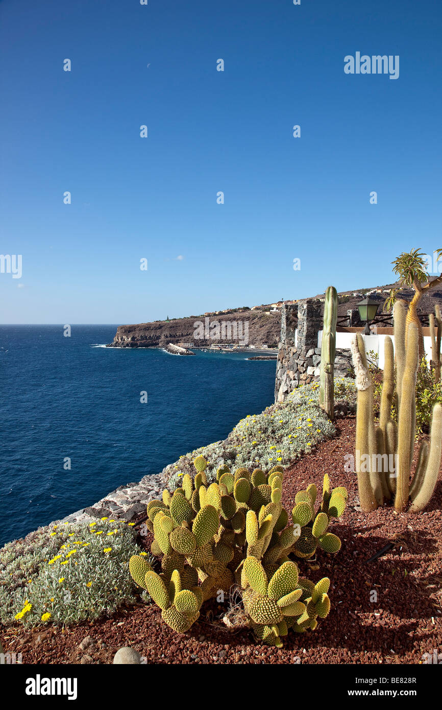 Vue du Jardin Tecina Hotel sur cactusses dans la lumière du soleil à Playa de Santiago, La Gomera, Canary Islands, Spain, Europe Banque D'Images
