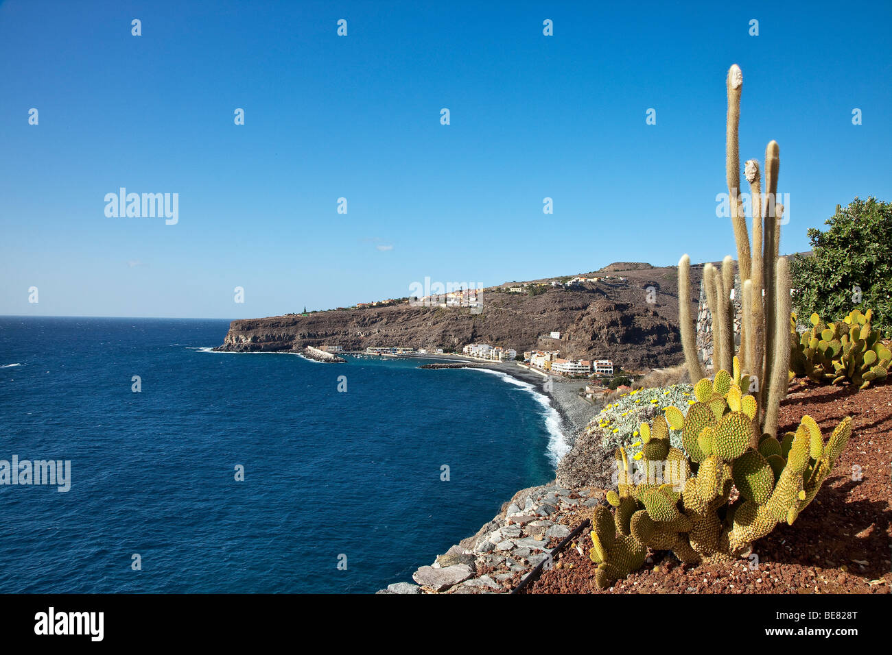 Vue du Jardin Tecina Hotel sur cactusses dans la lumière du soleil à Playa de Santiago, La Gomera, Canary Islands, Spain, Europe Banque D'Images