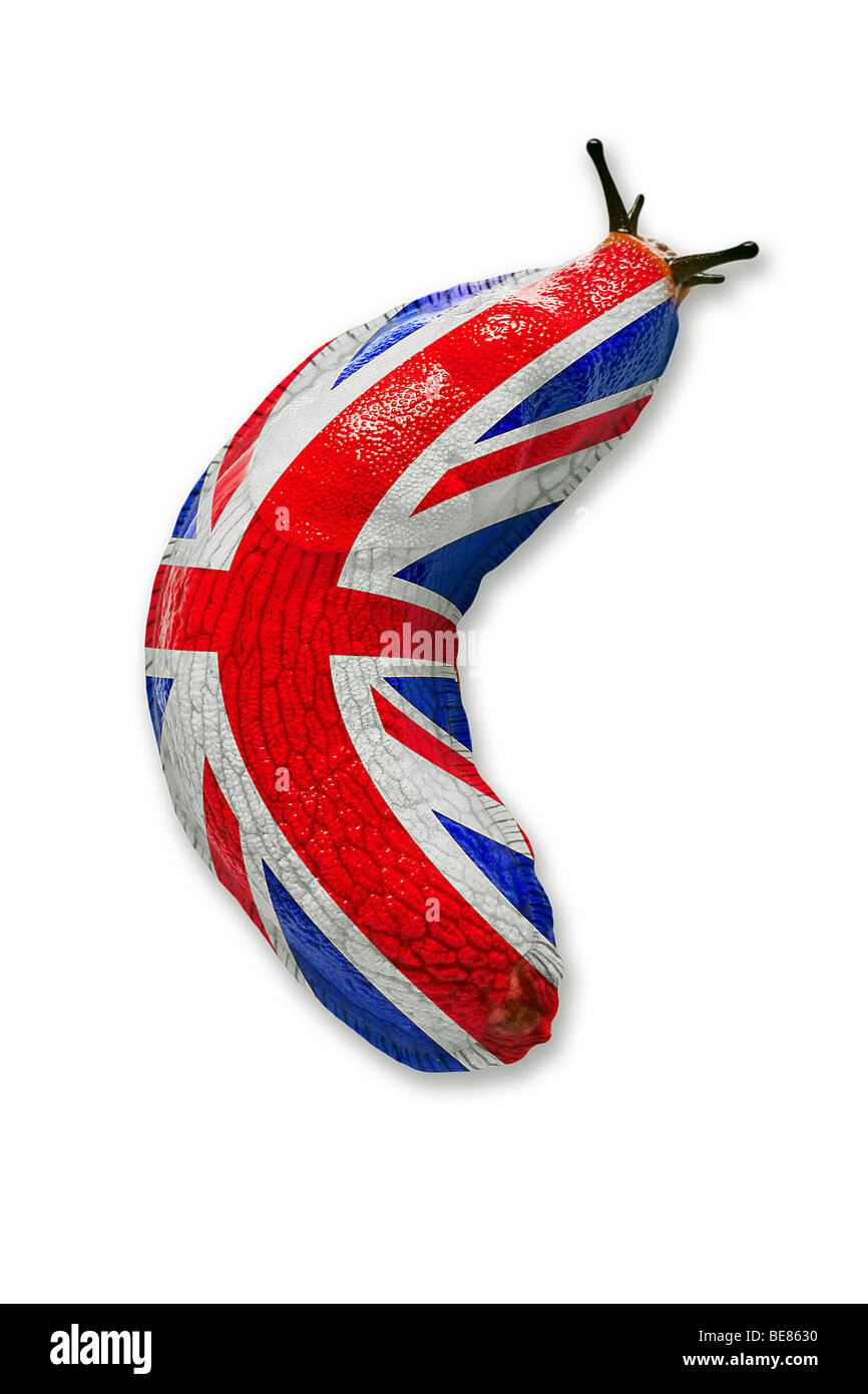Un British land slug (photomontage). Limace terrestre britannique (photomontage). Banque D'Images