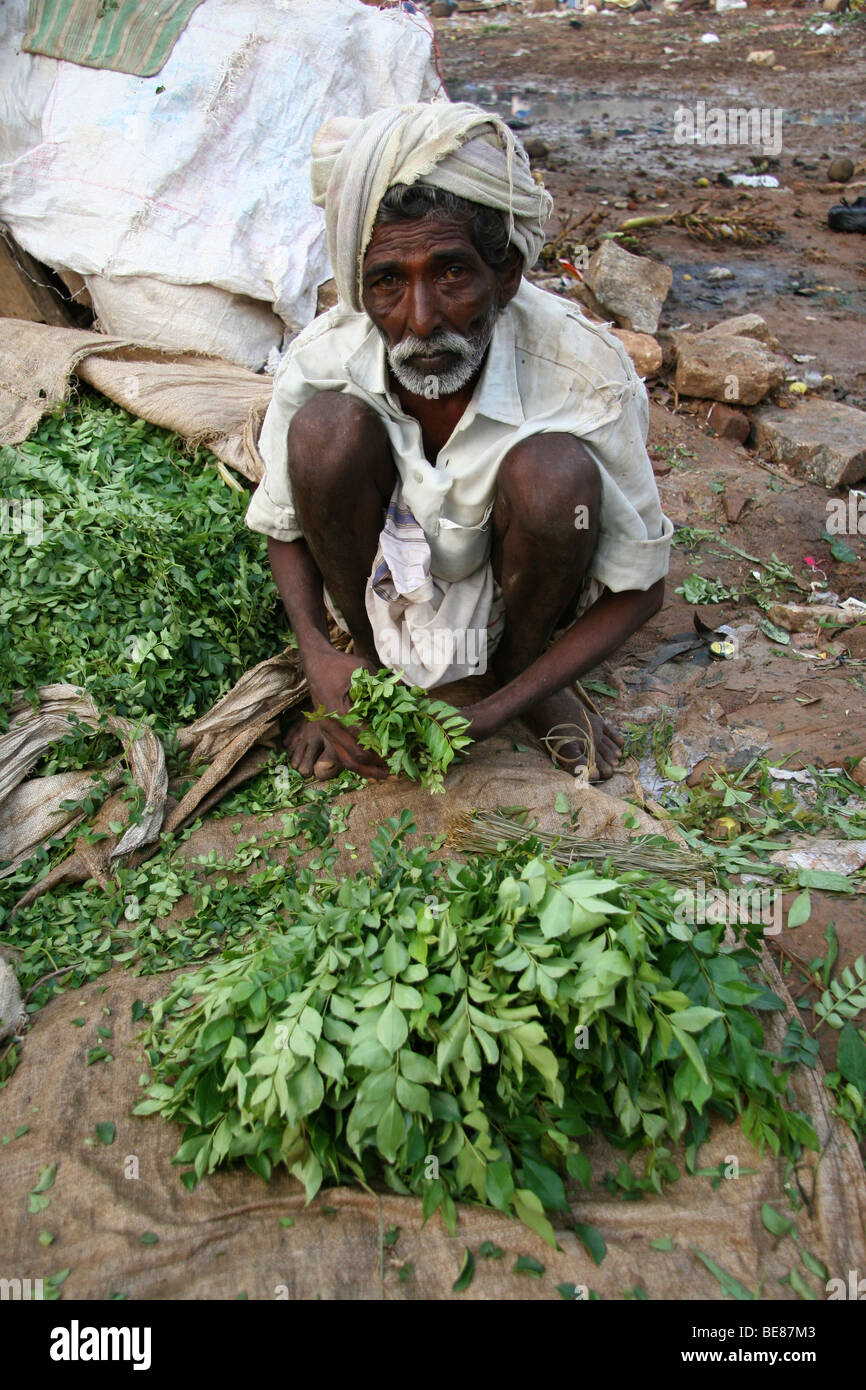 Un homme s'accroupit et vend des herbes fraîches à Bangalore, ville de marché (aussi connu sous le nom de KR Market). Banque D'Images