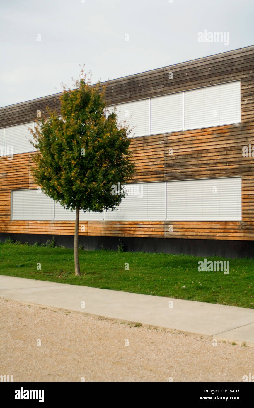Érable, bâtiment moderne en bois non fini en arrière-plan Banque D'Images