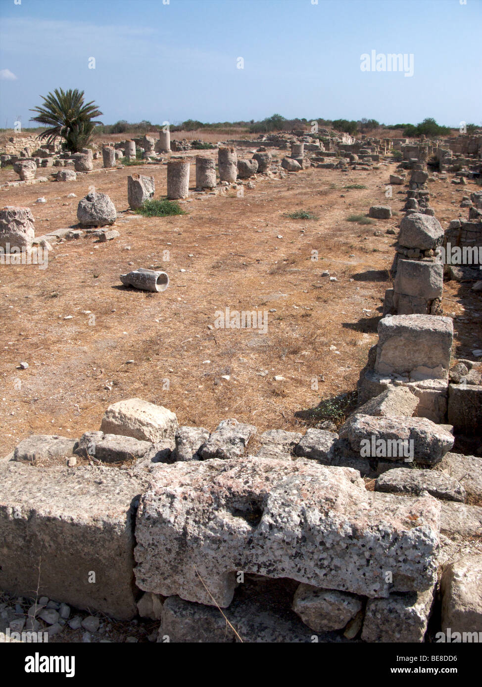 Les ruines de la ville antique de Salamine, Famagusta, Chypre du Nord Banque D'Images