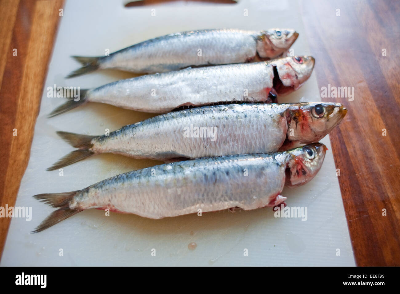 Sardines préparé pour la cuisson Banque D'Images