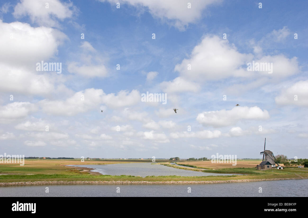 Zomers zicht op en polder molen) op Texel en de bol. Plas dient als hoogwatervluchtplaats Banque D'Images