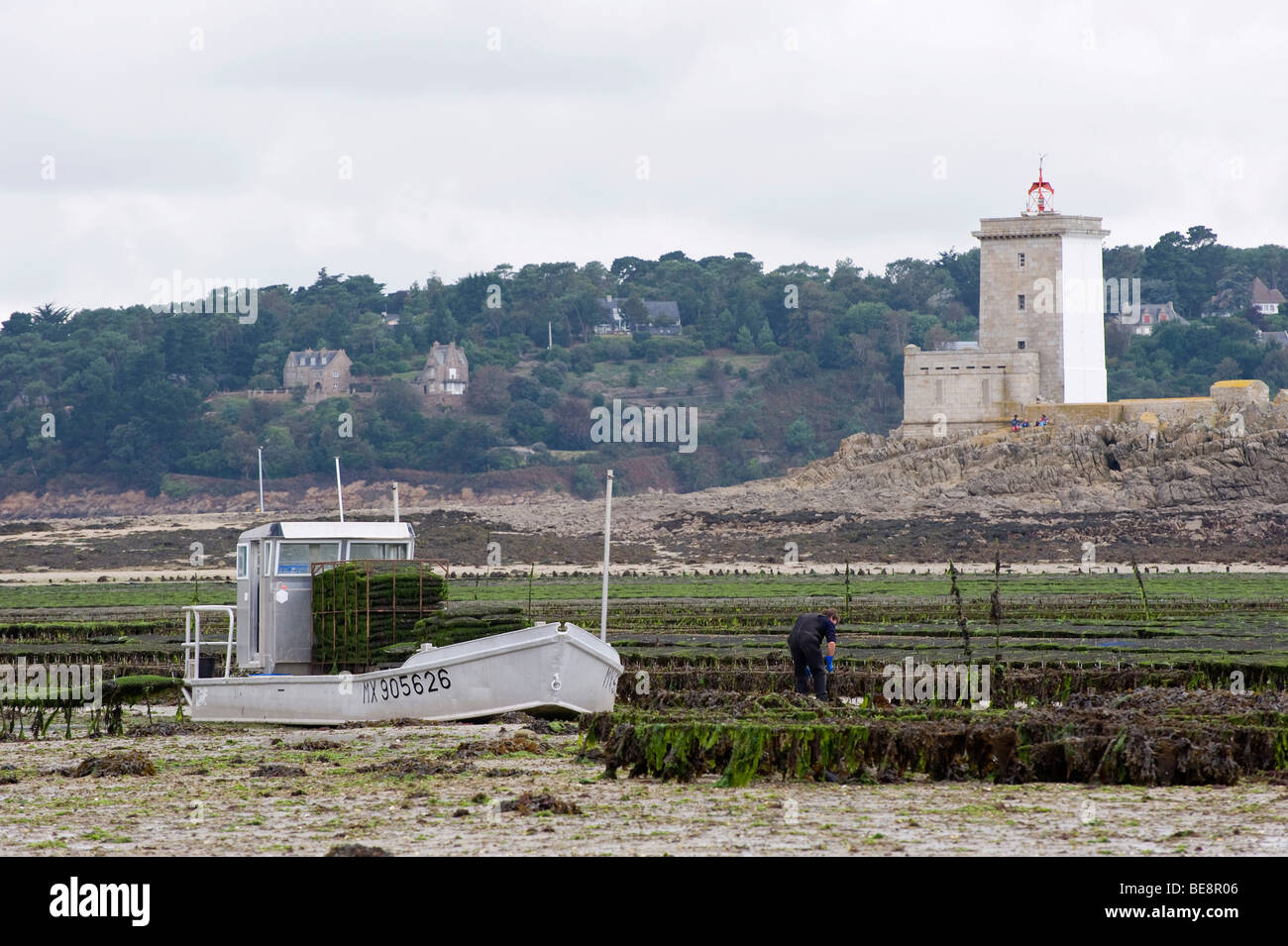 Oyster farmer dans la baie de Morlaix, Finistère, Bretagne, France, Europe Banque D'Images