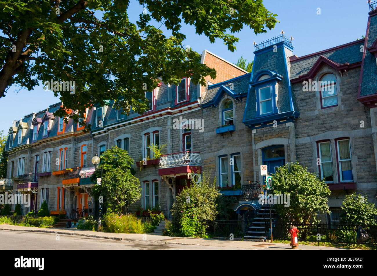 Vieux batiments au plateau mont royal Banque de photographies et d