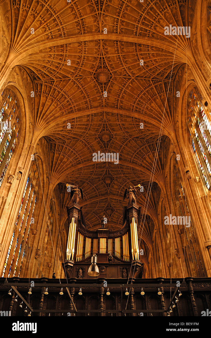 Ventilateur gothique vaulting avec orgue dans la chapelle du King's College, fondé en 1441 par le Roi Henry VI., King's Parade, Cambridge, Cambr Banque D'Images