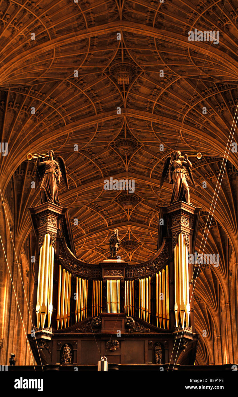 Ecole d'orgue et ventilateur gothique à King's College Chapel, fondée en 1441 par le Roi Henry VI., King's Parade, Cambridge, Cambridges Banque D'Images