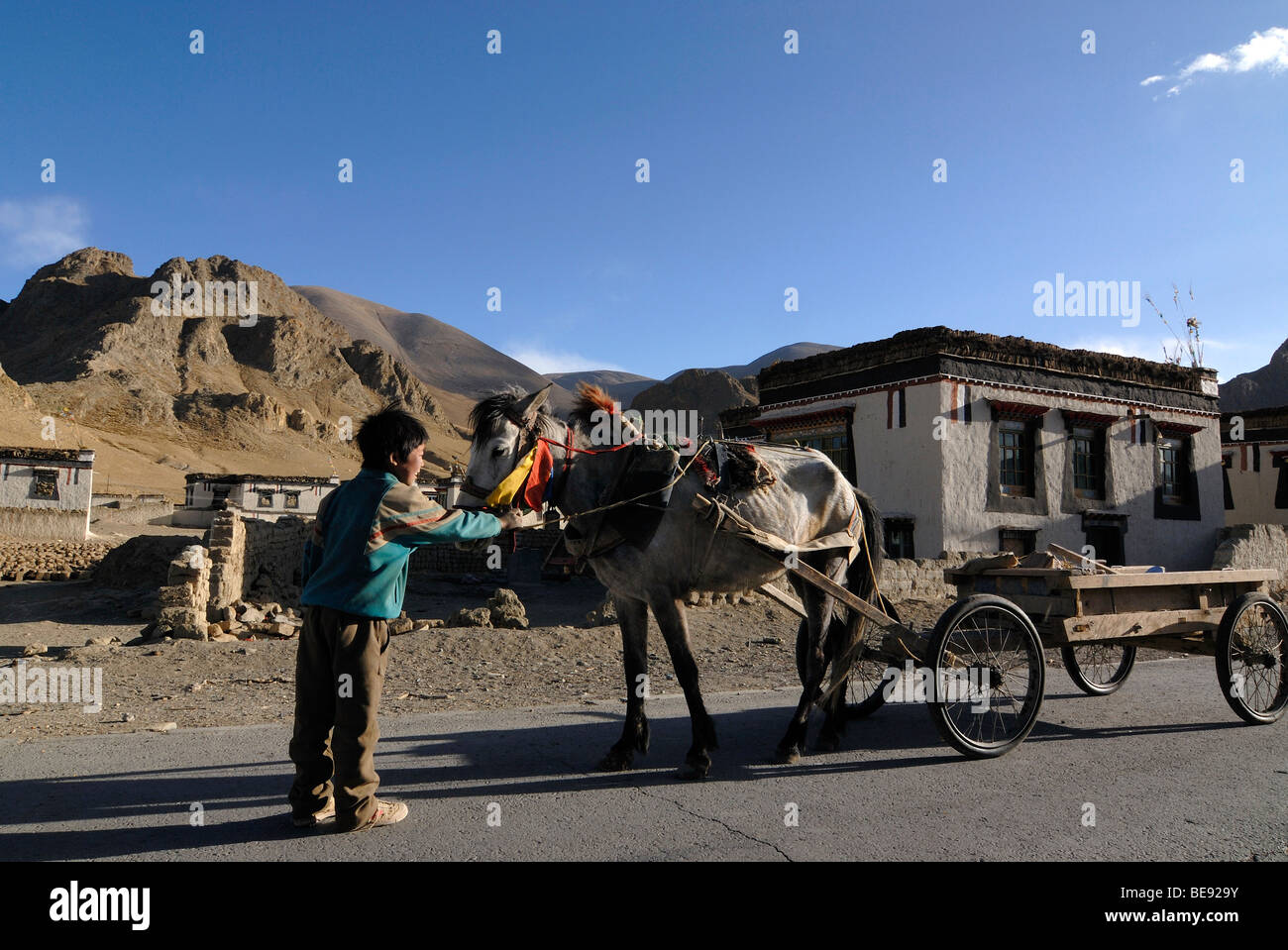 Garçon tibétain nomade tenant la bride d'un cheval décoré, voitures à cheval en face de fermes avec traditionnelle tibétaine Banque D'Images