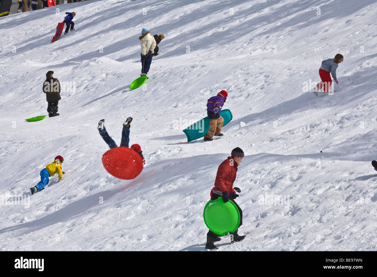 Traîneau à chiens à l'aire de jeux de neige au champ de pratique de l'UNA, à Flagstaff, Arizona Banque D'Images