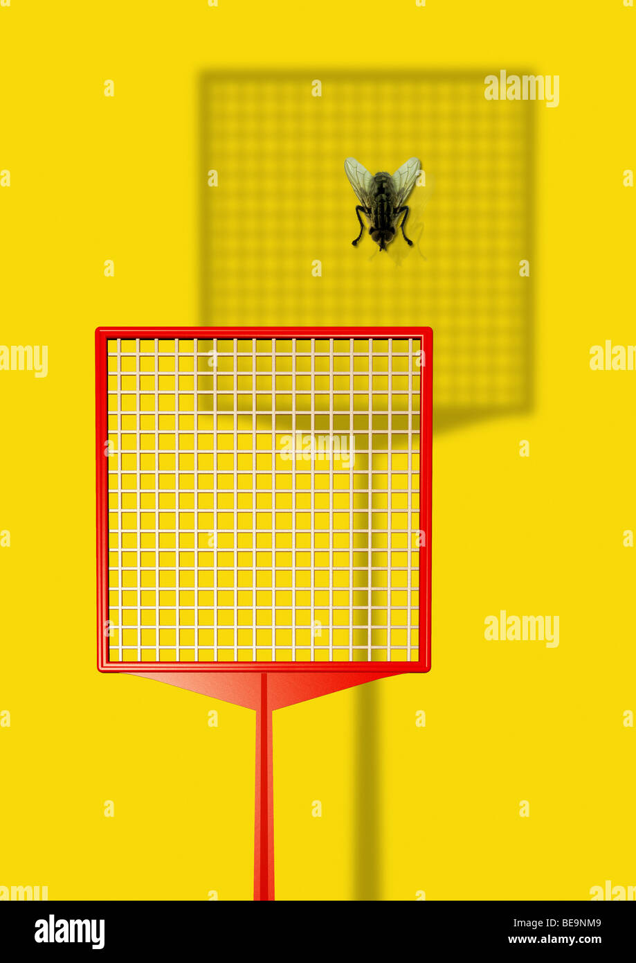 Une mouche menacée par une tapette à mouche - Fliege und Fliegenklatsche Banque D'Images