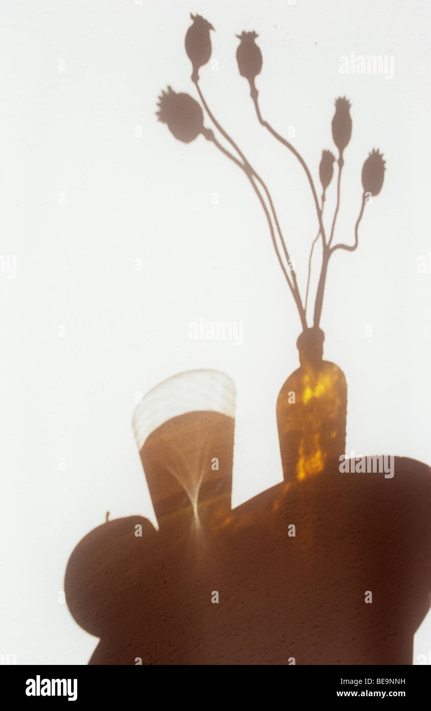 Ombre sur mur blanc de table circulaire avec apple et réflexions de verre de verre et bouteille brune de coquelicots à sec Banque D'Images