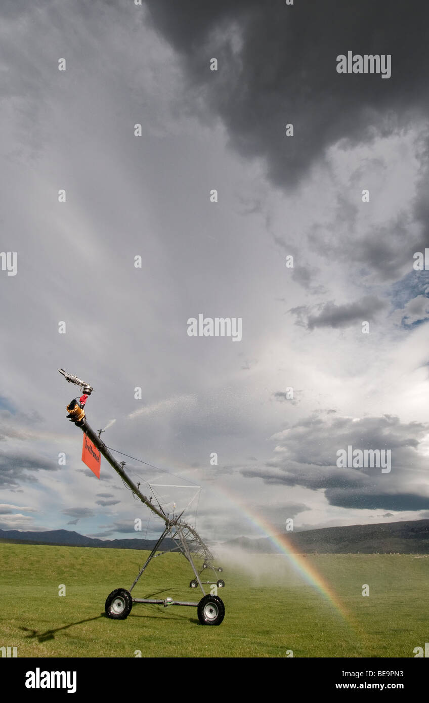 Système de gicleurs, l'Otago, Nouvelle-Zélande, Banque D'Images