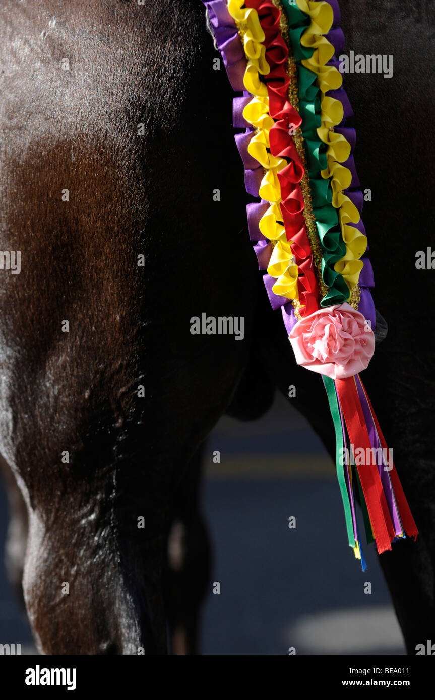 Gros plan d'une queue de cheval décoré et quartiers arrière lors de Mare de Déu de Gràcia Festival à Mahon, Minorque. Banque D'Images