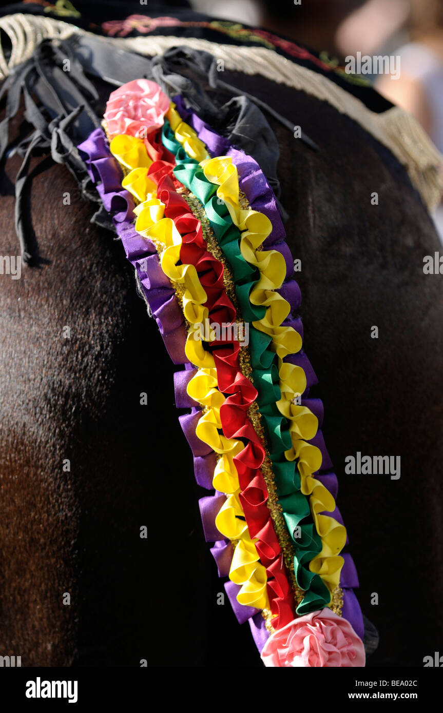 Gros plan d'une queue de cheval décoré et quartiers arrière lors de Mare de Déu de Gràcia Festival à Mahon, Minorque. Banque D'Images