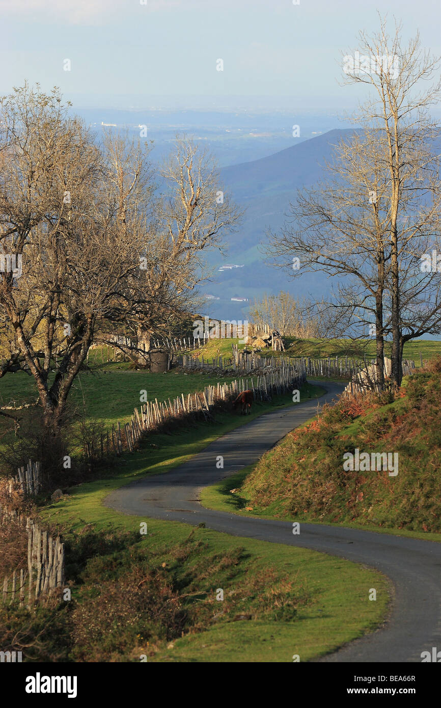 Pays basque Banque D'Images