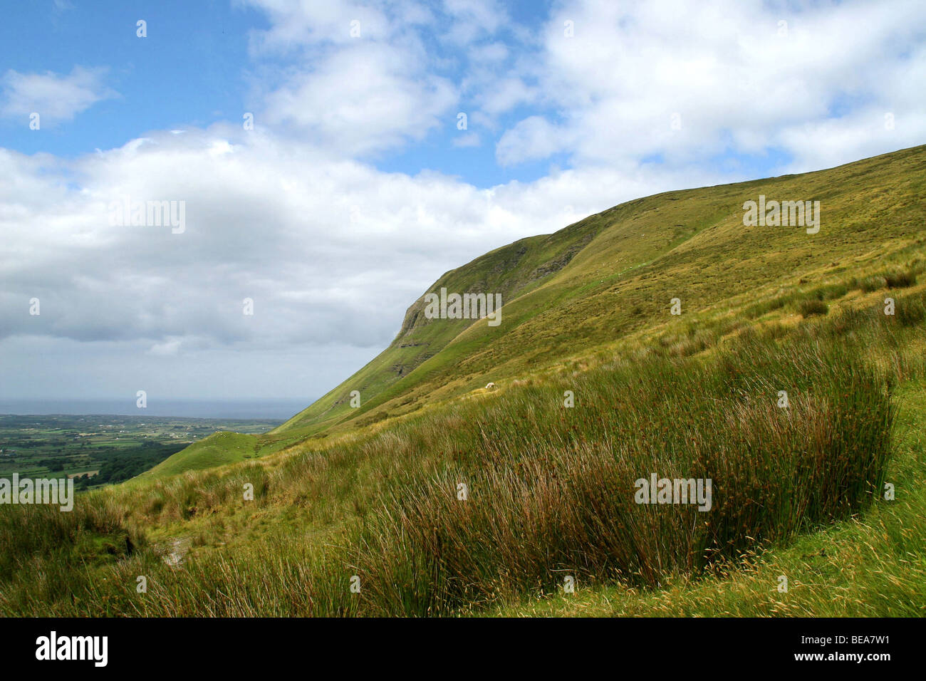 Irlande : Ben Bulben (rock formation) Banque D'Images