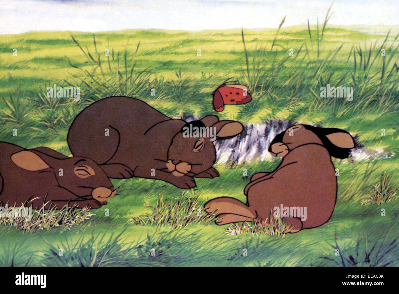 WATERSHIP DOWN 1978 Nepenthe cartoon version du roman de Richard Adams Banque D'Images