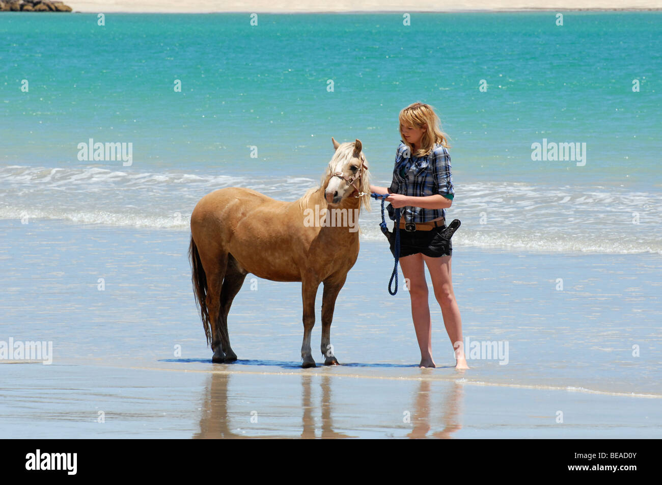 Femme promener son poney sur la plage, Southend, dans le sud de l'Australie Banque D'Images